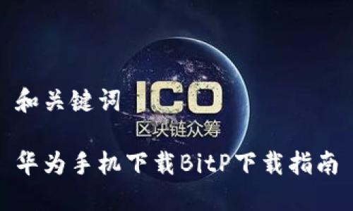 和关键词
华为手机下载BitP下载指南