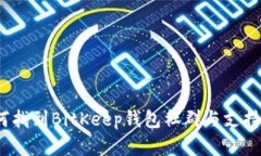 : 如何找到BitKeep钱包社群与支持资源？