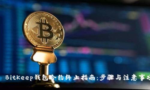 : BitKeep钱包合约终止指南：步骤与注意事项