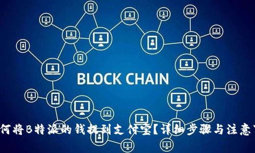  如何将B特派的钱提到支付宝？详细步骤与注意事项