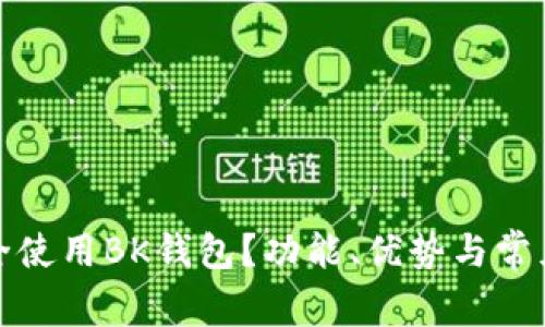 : 如何安全使用BK钱包？功能、优势与常见问题解析