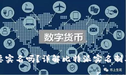比特派需要实名吗?详解比特派实名制及相关问题
