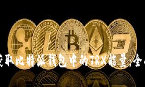 如何获取比特派钱包中的TRX能量：全面指南