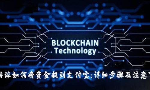 比特派如何将资金提到支付宝：详细步骤及注意事项