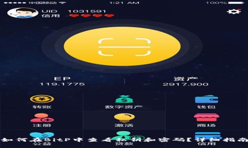 如何在BitP中查看私钥和密码？详细指南