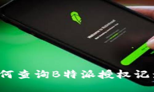 如何查询B特派授权记录？