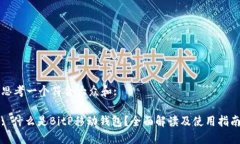 思考一个符合大众和: : 什么是BitP移动钱包？全面