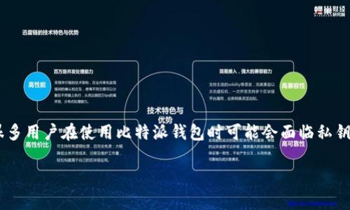 比特派钱包找不到私钥是一种常见的问题，尤其是在区块链和加密货币日益普及的今天，很多用户在使用比特派钱包时可能会面临私钥丢失或无法找到的情况。本文将深入探讨这个问题，提供详细的解决方案，并分析相关问题。

比特派钱包找不到私钥的解决办法与注意事项