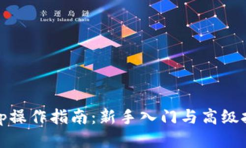 Bitp操作指南:新手入门与高级技巧