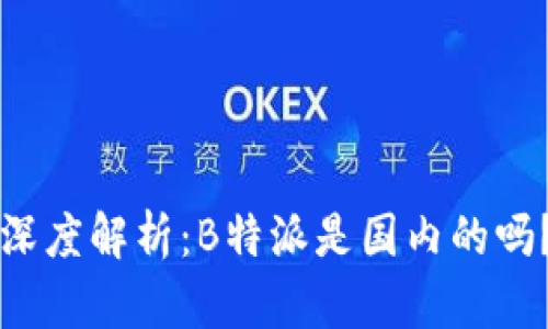 深度解析：B特派是国内的吗？