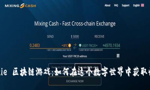 Axie 区块链游戏:如何在这个数字世界中获取收益