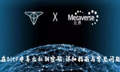 如何在BitP中导出私钥密码：详细指南与常见问题