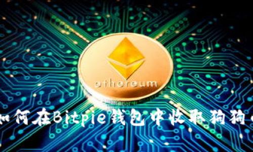 如何在Bitpie钱包中收取狗狗币