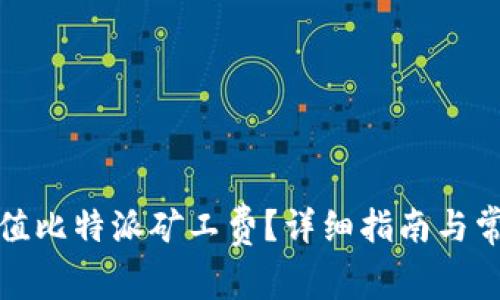 如何有效充值比特派矿工费？详细指南与常见问题解答