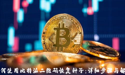 
如何使用比特派二维码恢复种子：详细步骤与解析