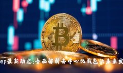  BitKeep最新动态：全面解析去中心化钱包的未来发