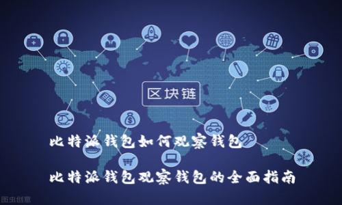 比特派钱包如何观察钱包

比特派钱包观察钱包的全面指南