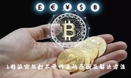 b特派突然打不开网页的原因及解决方法
