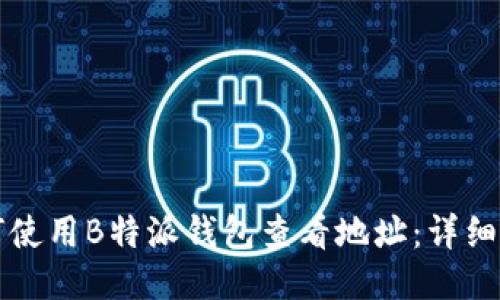 如何使用B特派钱包查看地址：详细指南