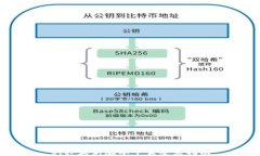 BitP最新版本下载安装指南