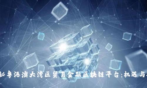 探秘粤港澳大湾区贸易金融区块链平台:机遇与挑战