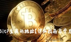 如何删除BitP生成的地址？详细指南与常见问题解