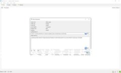 特派（B特派）能否进行货币交易？