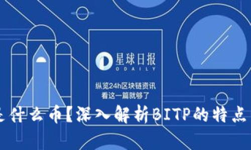 BITP是什么币？深入解析BITP的特点与前景