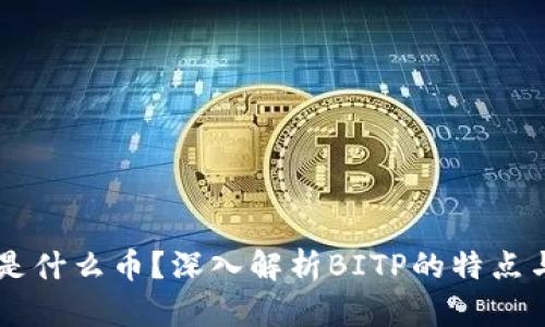 BITP是什么币？深入解析BITP的特点与前景