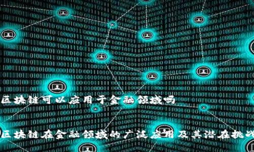 区块链可以应用于金融领域吗
区块链在金融领域的广泛应用及其潜在挑战