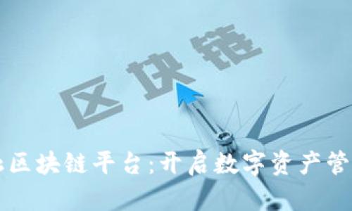 大数金融区块链平台:开启数字资产管理新纪元