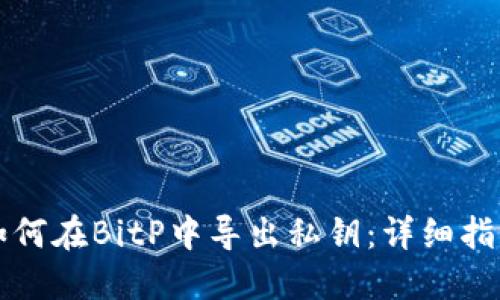 如何在BitP中导出私钥：详细指南
