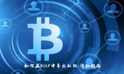 如何在BitP中导出私钥：详细指南