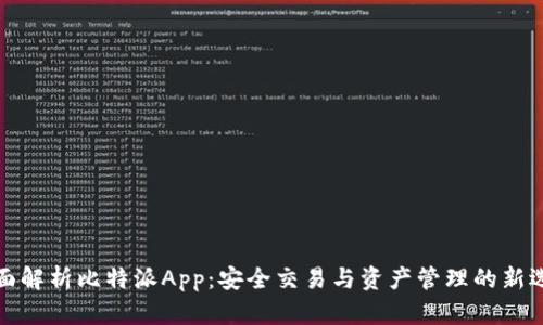 全面解析比特派App:安全交易与资产管理的新选择