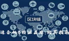 如何选择最适合的B特派盾牌：购买指南与实用技