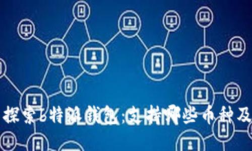 Title: 探索b特派钱包：支持哪些币种及其特点