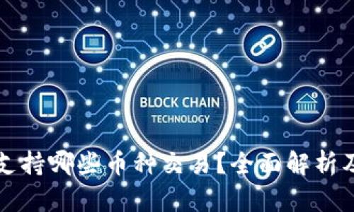 BitP钱包支持哪些币种交易？全面解析及使用指南