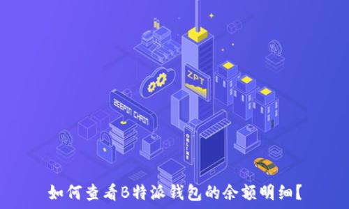   
如何查看B特派钱包的余额明细？