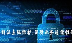 全面解析B特派系统维护：保障业务连续性的最佳