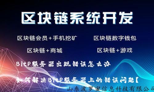 BitP服务器出现错误怎么办

如何解决BitP服务器上的错误问题？