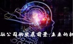 区块链金融公司的发展前景：未来的机遇与挑战