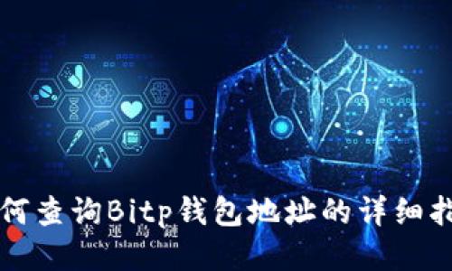 如何查询Bitp钱包地址的详细指南