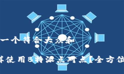 思考一个符合大众和

 怎样使用B特派点对点？全方位指南