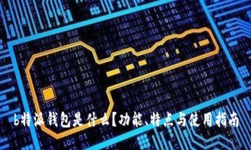 b特派钱包是什么？功能、特点与使用指南