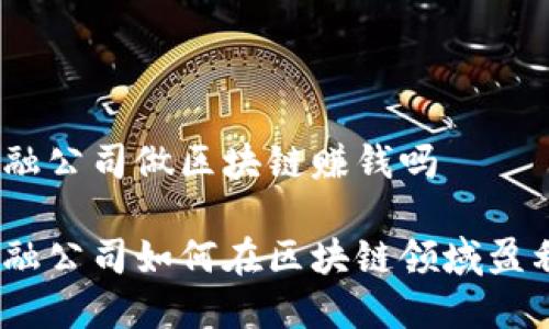 金融公司做区块链赚钱吗

金融公司如何在区块链领域盈利？