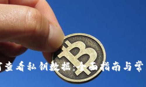 比特派如何查看私钥数据：全面指南与常见问题解答