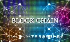 Bitpie Wallet下载与安装详细教程
