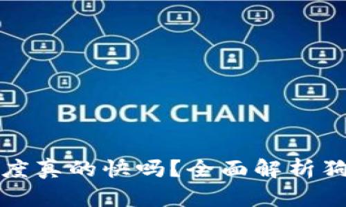 狗狗币转账速度真的快吗？全面解析狗狗币交易效率