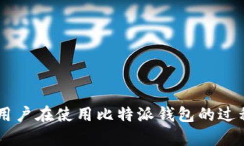   比特派钱包怎么绑定支付宝？完整操作指南 / 

 guanjianci 比特派钱包, 绑定支付宝, 数字货币, 钱包使用, 教程 /guanjianci 

在数字货币日益普及的今天，越来越多的人开始接触和使用虚拟货币钱包。在众多钱包中，比特派钱包以其安全性和易用性脱颖而出。对于很多用户来说，如何将比特派钱包与支付宝绑定，以实现更便捷的充值和提现，成为了一个亟待解决的问题。本文将详细介绍比特派钱包绑定支付宝的操作流程，以及在操作过程中可能遇到的问题。

一、比特派钱包概述

比特派钱包是一款专业的数字货币钱包，支持多种数字资产的管理，包括比特币、以太坊、莱特币等。相较于其他传统的钱包，比特派钱包具备以下几个特点：

1. **安全性**：比特派钱包采用了多重加密技术，确保用户资金的安全。此外，私钥存储在用户的设备上，避免了被黑客攻击的风险。

2. **易用性**：比特派钱包的用户界面设计简洁易懂，适合各类用户使用。无论是新手还是资深玩家，都能轻松上手。

3. **多功能性**：除了基本的资产管理功能，比特派钱包还提供了丰富的交易功能，可以实时查询市场行情，支持点对点交易等。

二、为何需要绑定支付宝

绑定支付宝的主要目的在于实现便捷的资金流动。以下是绑定支付宝的一些主要好处：

1. **快速充值**：通过支付宝充值可以大大加快资金到账的速度，用户只需几分钟即可完成充值。

2. **方便提现**：绑定支付宝后，用户可以随时将钱包中的数字资产兑换成人民币，直接提现到个人账户中，操作方便快捷。

3. **安全可靠**：支付宝的安全机制使用户在进行交易时更加放心，避免了因使用其他支付平台可能带来的风险。

三、比特派钱包绑定支付宝的步骤

下面我们将详细介绍如何在比特派钱包中绑定支付宝。用户需要按照以下步骤进行操作：

1. **下载并安装比特派钱包**：用户首先需在应用商店中搜索“比特派钱包”进行下载，安装完毕后打开该应用。

2. **创建或导入钱包**：如果是新用户，需要创建一个新钱包；如果已有钱包，则可选择导入钱包。用户需妥善保管好助记词，确保资金安全。

3. **进入钱包设置**：在比特派钱包主界面，点击右上角的“设置”图标，进入设置页面。

4. **绑定支付宝**：在设置页面，找到“支付”或“支付方式”选项，点击进入。在支付方式中选择“绑定支付宝”，系统将提示用户输入支付宝账号信息以及进行身份验证。

5. **确认绑定**：输入相关信息后，点击确认，系统会发送验证码到用户的支付宝账户，用户需按照提示完成验证，即可绑定成功。

四、可能遇到的问题及解决方案

h41. 我没有比特派钱包，如何下载？/h4

用户可以在手机应用商店（如App Store或Google Play）中搜索“比特派钱包”，找到相关应用后点击下载即可。安装完成后按照上述步骤创建或导入钱包。如果在下载时遇到地域限制的问题，可以考虑使用VPN进行下载。建议从官网或官方指定渠道下载，以避免下载到伪造的应用，造成资金损失。

h42. 绑定支付宝时需要注意什么？/h4

在绑定支付宝的过程中，用户需要确保填写的支付宝账户信息准确无误。此外，绑定时最好使用实名认证的账户，这样可以减少出现问题的几率。若提示信息错误，用户应核对所输信息是否与支付宝账户一致，避免因信息不符而导致绑定失败。

h43. 为什么绑定失败？/h4

绑定支付宝失败可能有多种原因，包括但不限于：

1. **信息不一致**：用户输入的支付宝账户信息与实际不符，导致系统无法验证。

2. **网络问题**：如果在绑定过程中出现网络不稳定的情况，可能导致验证码无法发送或验证失败。

3. **账户问题**：有些用户的支付宝账号处于异常状态，此时需要前往支付宝客服解决问题后再进行绑定。

解决建议：建议用户在绑定前检查网络连接，确保信息的准确性。如果仍然无法绑定，建议联系比特派钱包的客服获取帮助。

h44. 如何查看已绑定的支付方式？/h4

用户可以在比特派钱包的设置页面中找到“支付”或“支付方式”选项，点击进入后即可查看已绑定的支付方式，并可以进行修改或解绑操作。

需要注意的是，解绑时可能会提示用户进行身份验证，以保护资金安全。建议在进行相关操作时，确保网络稳定，避免因操作中断导致问题。

h45. 如何保证绑定的安全性？/h4

在绑定支付宝账户时，用户应注意以下几点来提升安全性：

1. **使用官方渠道**：确保通过比特派钱包的官方网站或正规应用商店下载应用，避免下载到山寨版应用。

2. **重视账户安全**：建议使用强密码，并启用双重验证来保障个人账户的安全。

3. **及时更新**：定期更新比特派钱包至最新版本，以获取最新的安全补丁和功能。

4. **警惕钓鱼**：当接收到任何要求输入个人信息或资金交易的链接时，务必保持警惕，确认其真实性后再进行操作。

综上所述，绑定比特派钱包与支付宝的操作相对简单，但用户在进行操作时需注意信息的准确性以及安全性的保障。希望通过本篇文章，能够帮助到广大用户在使用比特派钱包的过程中更为顺利。
