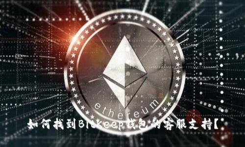如何找到BitKeep钱包的客服支持？